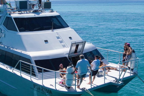 Ocean Freedom Great Barrier Reef Personal Luxury Snorkel & Dive Cruise, Cairns - Goulburn Accommodation 1