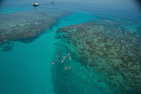 Ocean Freedom Great Barrier Reef Personal Luxury Snorkel & Dive Cruise, Cairns - Goulburn Accommodation 3