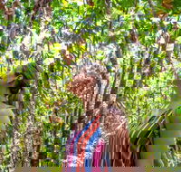 5 Day Australia Retreat Queensland Daintree - Goulburn Accommodation