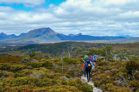 6 Day Trek The Cradle Mountain Overland Track - Goulburn Accommodation 5