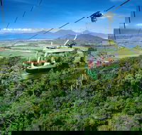 Best of Kuranda Including Skyrail Kuranda Scenic Railway and Rainforestation - Goulburn Accommodation