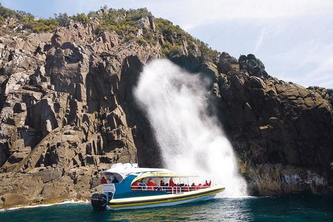 Full-Day Bruny Island Cruises Day Tour From Hobart - Goulburn Accommodation 4
