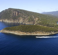 3-Hour Bruny Island Cruise from Adventure Bay Bruny Island - Goulburn Accommodation