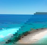 Ocean Safari Great Barrier Reef Experience in Cape Tribulation - Goulburn Accommodation