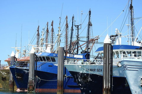 One Day Port Lincoln Tour - Tasting Eyre - Goulburn Accommodation 0