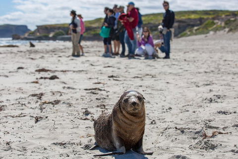 Kangaroo Island In A Day Tour From Adelaide - Goulburn Accommodation 0