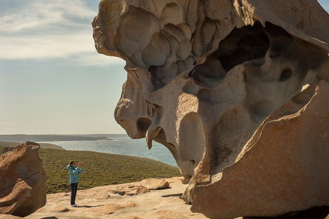 Kangaroo Island In A Day Tour From Adelaide - Goulburn Accommodation 5