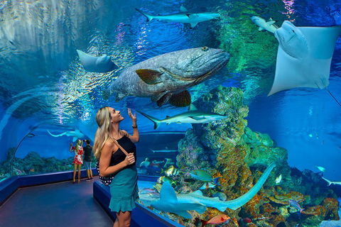Cairns Aquarium Admission Ticket - Goulburn Accommodation 3