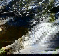 Cradle Mountain Day Tour from Launceston Including Lunch - Goulburn Accommodation