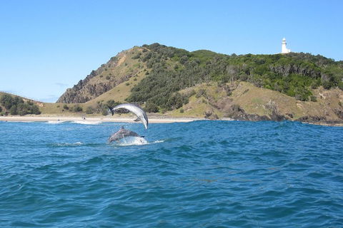 Kayaking With Dolphins In Byron Bay Guided Tour - Goulburn Accommodation 0