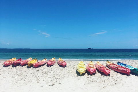 Kayaking With Dolphins In Byron Bay Guided Tour - Goulburn Accommodation 1