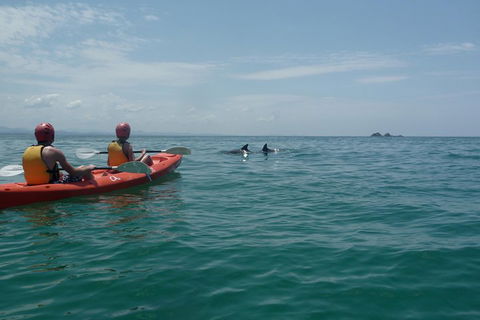Kayaking With Dolphins In Byron Bay Guided Tour - Goulburn Accommodation 4
