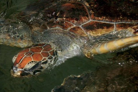 Cape Leveque 4WD Tour From Broome With Optional Return Flight - Goulburn Accommodation 2