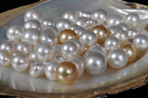 Cape Leveque 4WD Tour From Broome With Optional Return Flight - Goulburn Accommodation 5