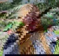 Great Ocean Road Reverse Itinerary with 12 Apostles from Melbourne - Goulburn Accommodation