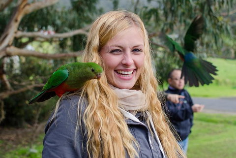 Great Ocean Road Reverse Itinerary With 12 Apostles From Melbourne - Goulburn Accommodation 0