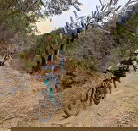 Mount Lofty Descent Bike Tour from Adelaide - Goulburn Accommodation