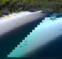 All-Inclusive Fraser Island Day Tour - Goulburn Accommodation