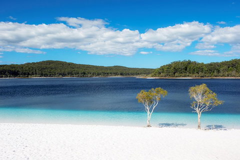 All-Inclusive Fraser Island Day Tour - Goulburn Accommodation 3