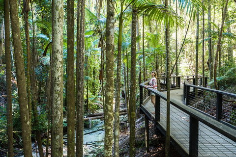 All-Inclusive Fraser Island Day Tour - Goulburn Accommodation 5