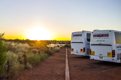 Uluru And Kata Tjuta Experience With BBQ Dinner - Goulburn Accommodation 2