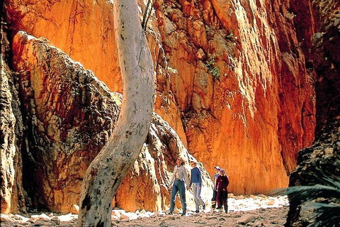 West MacDonnell Ranges Day Trip From Alice Springs - Goulburn Accommodation 3