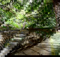 12 Apostles Eco-Friendly Great Ocean Road Iconic Adventure from Melbourne - Goulburn Accommodation