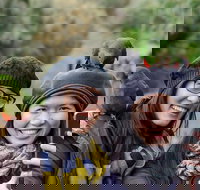 Small-Group Great Ocean Road and 12 Apostles Full-Day Tour from Melbourne - Goulburn Accommodation