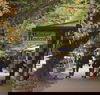 Adelaide Highlights Hahndorf  McLaren Vale Wine Tasting and Sightseeing Tour - Goulburn Accommodation