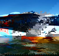 Express Jet Boat Ride  Aquaduck - Goulburn Accommodation