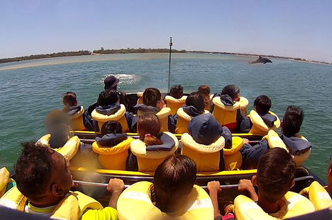 Jet Boat Express Ride - 30mins - Goulburn Accommodation 5