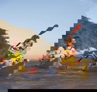 Kangaroo Island Self-Guided Kayaking on the Harriet River - Goulburn Accommodation