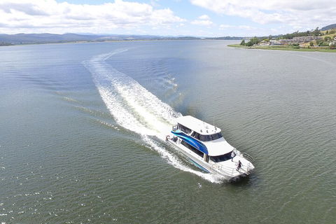 2.50 Hour Afternoon Discovery Cruise Including Cataract Gorge Departing At 3 Pm - Goulburn Accommodation 0