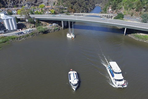 2.50 Hour Afternoon Discovery Cruise Including Cataract Gorge Departing At 3 Pm - Goulburn Accommodation 5