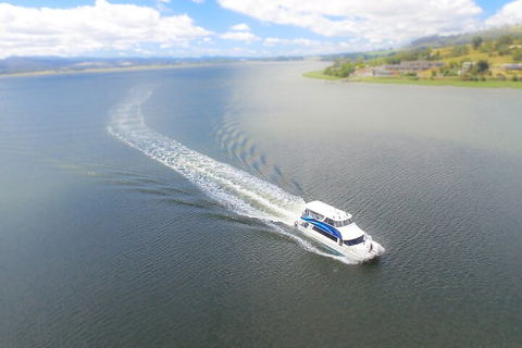 2.5 Hour Afternoon Discovery Cruise Including Cataract Gorge Departs At 1: 30 Pm - Goulburn Accommodation 0