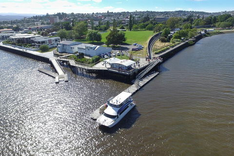 2.5 Hour Afternoon Discovery Cruise Including Cataract Gorge Departs At 1: 30 Pm - Goulburn Accommodation 3