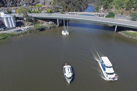 2.5 Hour Afternoon Discovery Cruise Including Cataract Gorge Departs At 1: 30 Pm - Goulburn Accommodation 5