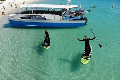 Whitsunday Bullet Day Trip - Whitehaven Beach And Snorkelling - Goulburn Accommodation 4
