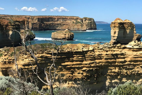 Great Ocean Road Reverse Itinerary Tour - Goulburn Accommodation 1