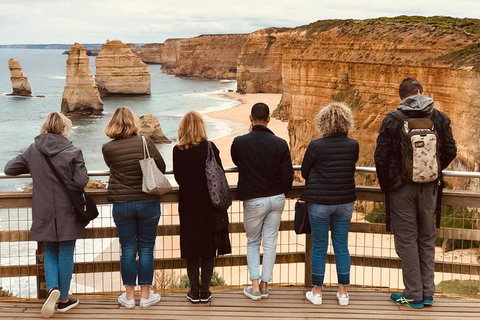Great Ocean Road Reverse Itinerary Tour - Goulburn Accommodation 2