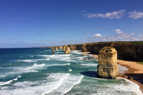 Great Ocean Road Reverse Itinerary Tour - Goulburn Accommodation 4