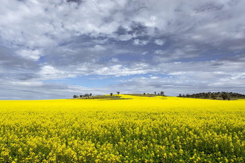 Wave Rock Private Tour - Goulburn Accommodation 3