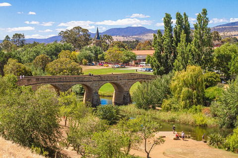 Wineglass Bay & Freycinet NP Full Day Tour From Hobart Via Richmond Village - Goulburn Accommodation 4