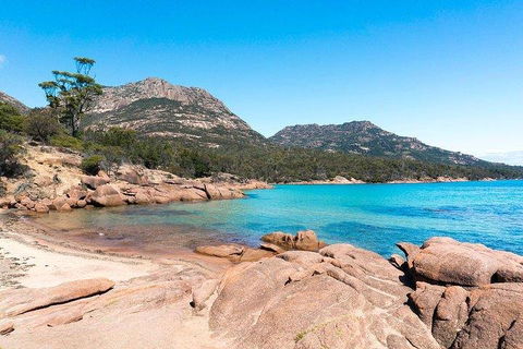 Wineglass Bay & Freycinet NP Full Day Tour From Hobart Via Richmond Village - Goulburn Accommodation 5