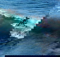 Great Ocean Road Highlights Tour - 2 Days 1 Night - Goulburn Accommodation