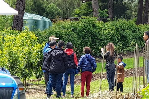 Dandenong Ranges And Rayners Orchard Tour From Melbourne - Goulburn Accommodation 4