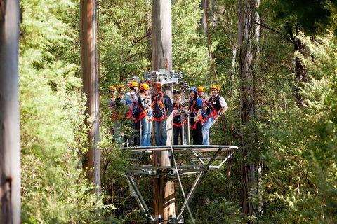 Adventure Sunset Three Day Great Ocean Road Tour - Goulburn Accommodation 1