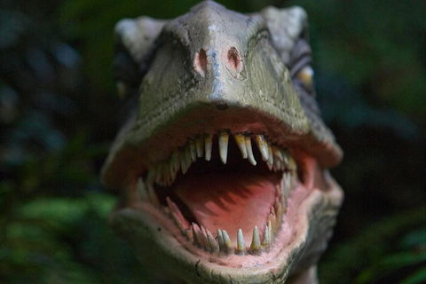 Adventure Sunset Three Day Great Ocean Road Tour - Goulburn Accommodation 3