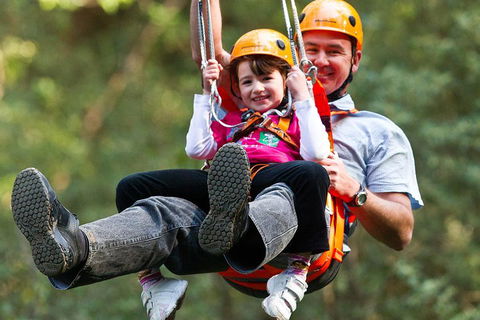 Adventure Sunset Three Day Great Ocean Road Tour - Goulburn Accommodation 4