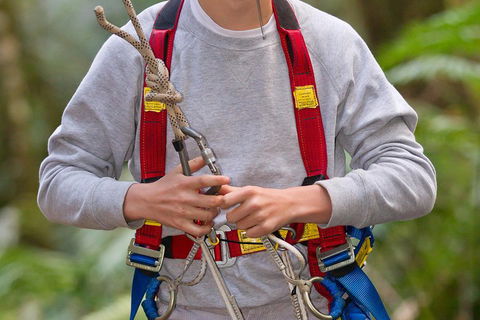 Adventure Sunset Three Day Great Ocean Road Tour - Goulburn Accommodation 5